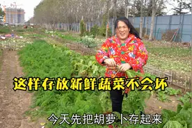北方冬天的菜园子,蔬菜挖坑藏在地底下,这样存放一冬天新鲜不会坏