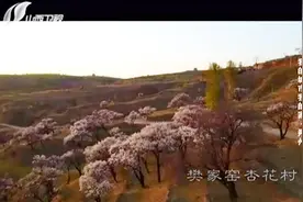 人说山西好风光：李丽芳讲述最纯粹的“右玉精神”，激励人心视频封面