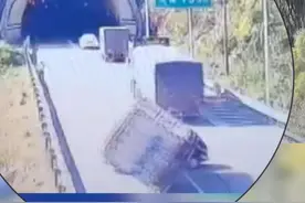 两车发生追尾事故，导致150箱鸭子散落高速路，还有几十只在路边散步#高速公路 #安全出行平安回家  #广西dou知道 视频封面