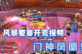 魔兽世界TBC怀旧服，风暴要塞开荒攻略，门神凤凰奥的防骑视角