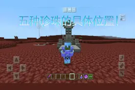 我的世界：37秒带你了解五种珍珠的具体位置，记得带夜视药水！