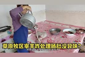 草原牧区宰羊一点都不浪费！羊肠羊肚怎么处理没异味？看牧民咋做