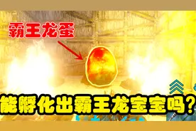 方舟手游12：恐龙蛋孵化教程，手把手教你孵化自己的恐龙宝宝！视频封面