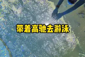 带着高驰去游泳 降低SWOLF