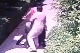 社区回应"狗咬老人事件":经中间人与狗主人沟通 调解目前没进展视频封面