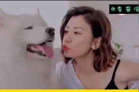 要做自媒体就要准备好被骂！头条推送机制有啥特点？【体验向】视频封面