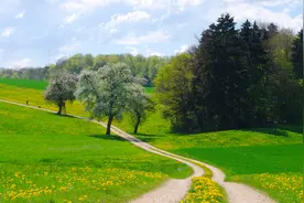 千古帝王皆作古，繁华如梦，梦醒了无痕。视频封面
