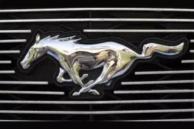 4个“动物车标”的汽车，看到躲远点，别当成小事，哪个都惹不起