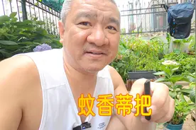 燃蚊香产生两种废弃物，不要扔！ 简单方法能治花盆里的小飞虫！