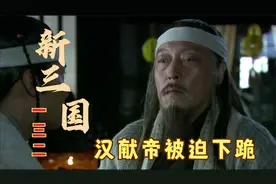 三国：汉献帝被迫下跪，司马懿杯酒释兵权，曹丕赐给他一个老婆视频封面