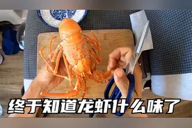 冬子斥巨资买了只大龙虾，拿回车里清蒸，终于知道龙虾什么味了