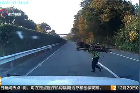 女子横穿高速公路被撞 行车记录仪拍下全过程视频封面