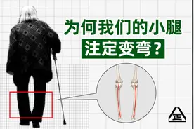 小腿不直？可能是注定的。【小腿骨变弯】深度分析（1/4）视频封面