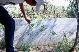 巧遇皇清之墓，光绪三十二年，碑文横躺地面，疑是被盗