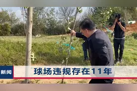 高尔夫球场侵占滇池，书记拔“临时树”太尴尬，督查组通报了视频封面