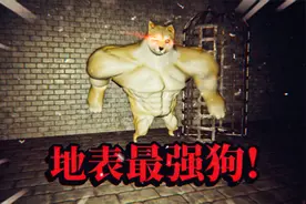 奇葩游戏：这可能是地球上最强壮的狗！魔鬼筋肉狗来找你了！视频封面
