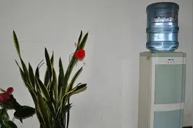 饮水机的这个开关，不用时一定要关闭！一年省下不少钱，太实用了视频封面