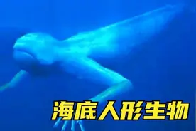 海底发现的4个神秘物品，潜水员拍到的人形生物是什么？视频封面