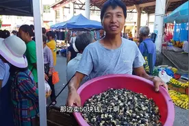 市场摆摊50元一斤的螺肉，很受当地人欢迎，30斤田螺肉一下卖完了视频封面