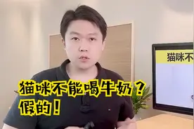 猫咪不能喝牛奶？假的！