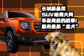长城新品类SUV哈弗大狗车名背后的故事！原来是条“忠犬”视频封面