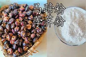 马蹄粉，荸荠粉，做钵仔糕马蹄糕原材料，北方的朋友见过吗