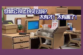仓鼠公司上班见过吗？太有才！太有趣了！视频封面