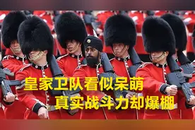 一掌推飞拦路游客，英国皇家卫队可不是吉祥物，硬实力全靠打出来视频封面