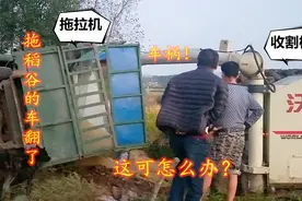 收割机与拖拉机意外出车祸，村民互帮互助展现暖心一幕，很赞视频封面