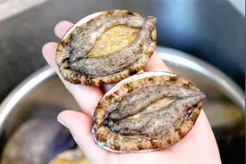 白灼鲍鱼好吃的秘密，嫩滑弹牙满满的汁水，一点都不会柴