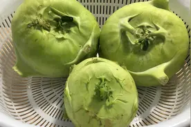 教你正宗的芥兰头腌制方法，简单易学，爽脆下饭，存放越久越好吃