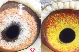 信鸽什么样的眼砂配对子代容易出成绩？听听农村大叔怎么说