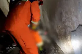 广东一楼房内出现2米长“眼镜王蛇”，消防迅速处置视频封面