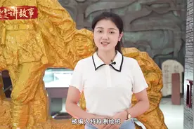 红色系列:何雨农：用满羌的革命星火，照亮父与子的红色接力视频封面