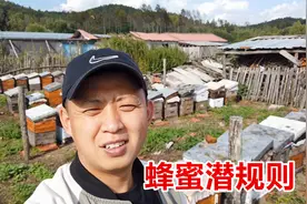 蜂蜜浓度越高越好？今天告诉你行业“潜规则”，喝蜂蜜的人要知道视频封面
