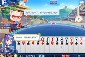 猫猪搏击，特技大战：智行巧斗，七寸锁喉！