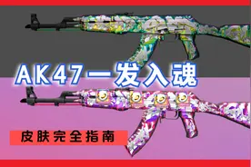 CSGO皮肤推荐和讲解：AK47一发入魂（变革武器箱新皮肤）
