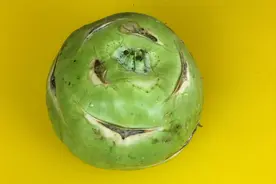 苤蓝疙瘩是东北特色菜，咸辣爽口简单易学，整好了老好吃了