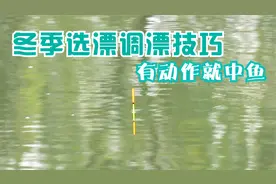 冬季钓鱼细尾浮漂看不清，这样来选择浮漂和调钓，有动作就中鱼