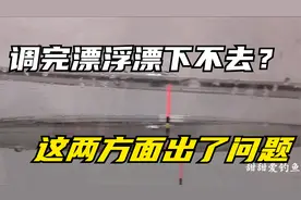调好漂后浮漂却压不下去了，那是这两方面出了问题，是你忽略了视频封面