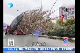 大货车超宽驶入收费站，收费亭被“连根拔起”侧翻在车道内！视频封面