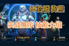 英雄联盟手游：体验服新英雄，狗熊实战体验，大招范围挺大视频封面