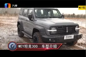 同为长城汽车旗下 哈弗大狗和坦克300怎么选？