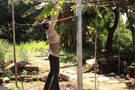 家里孩子不喜欢吃饭的试试这个海苔拌饭，做法简单，营养又美味视频封面