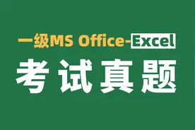 计算机一级MS Office-Excel考试真题：每个销售员的总销售额视频封面