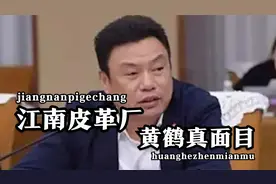 你还记得江南皮革厂的黄鹤吗？欠下3.5亿跑路，事实却出人意料视频封面