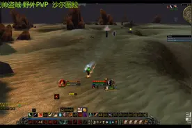 魔兽世界怀旧服58级元帅盗贼野外PVP 第三部  刺客