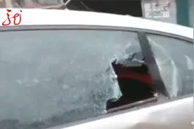 老虎袭击车辆 一巴掌把玻璃拍碎 司机加大油门迅速逃跑视频封面