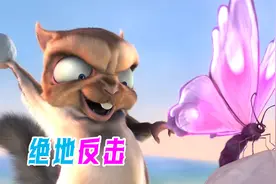 老实就该被欺负？被霸凌的兔子，绝地反击太爽了
