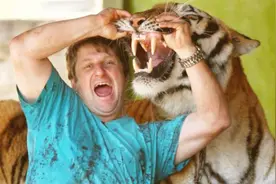 美国人把老虎当猫养，一头只要3000块！没事就出门遛老虎视频封面